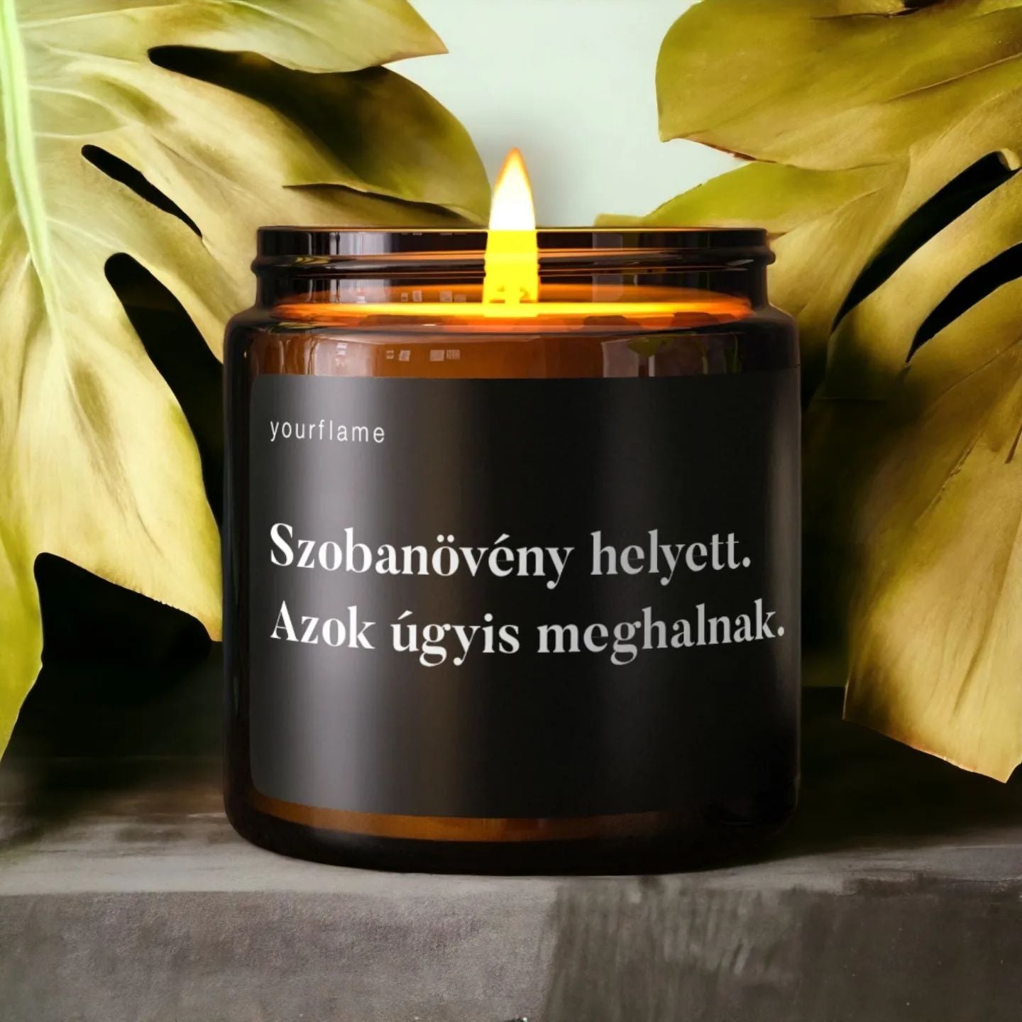 Illatgyertya szobanövény helyett