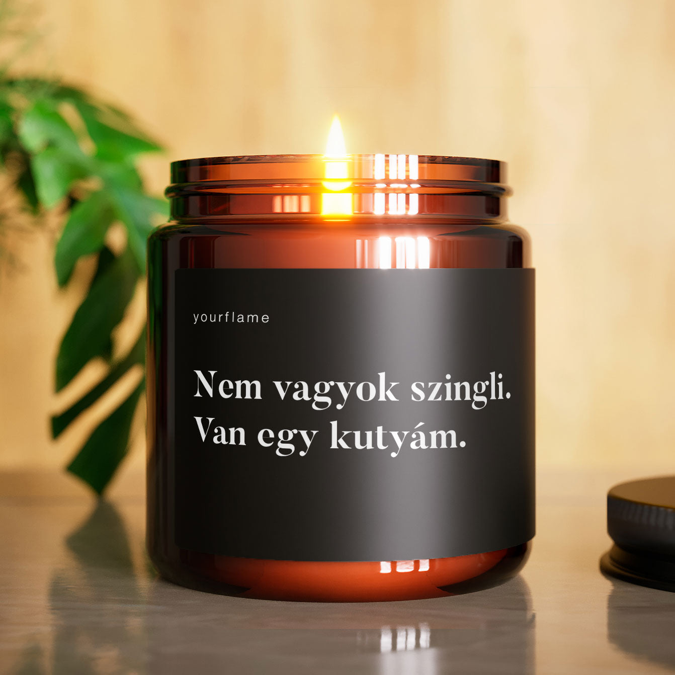 Nem vagyok szingli. Van egy kutyám.